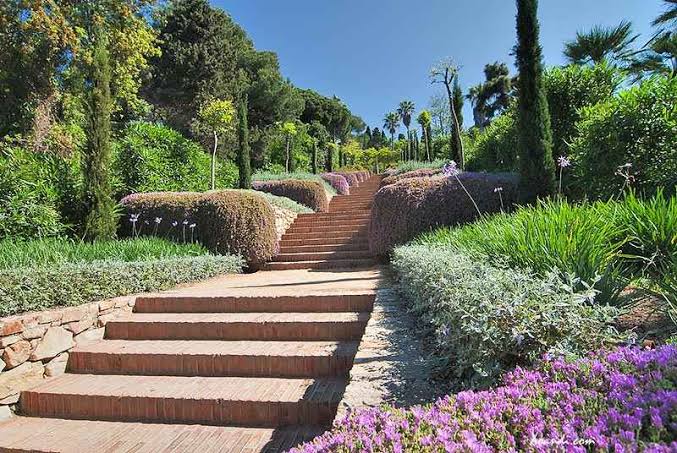 Jardín ornamental